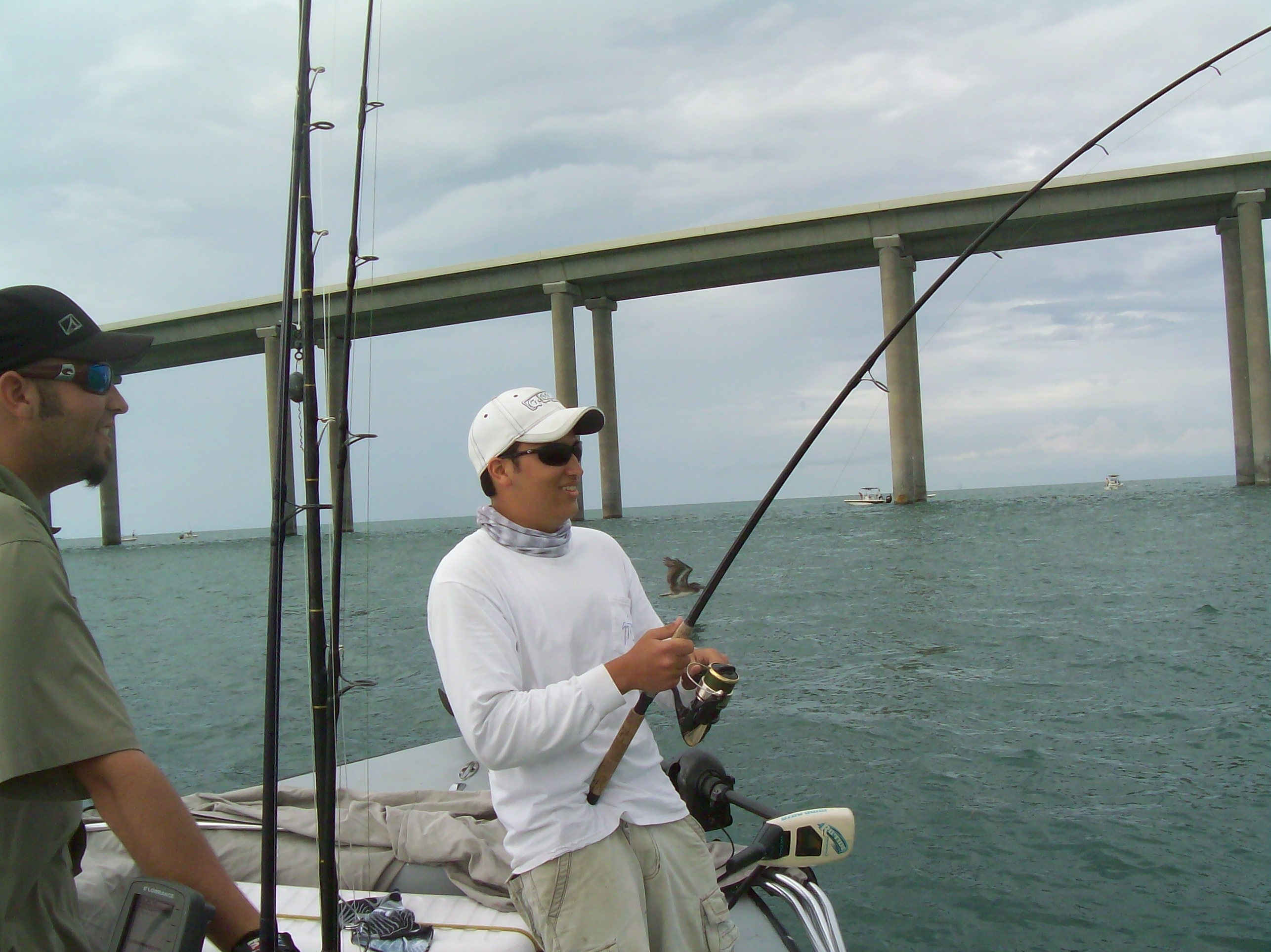 tampa bay clearwater st.pete fishing charter guide