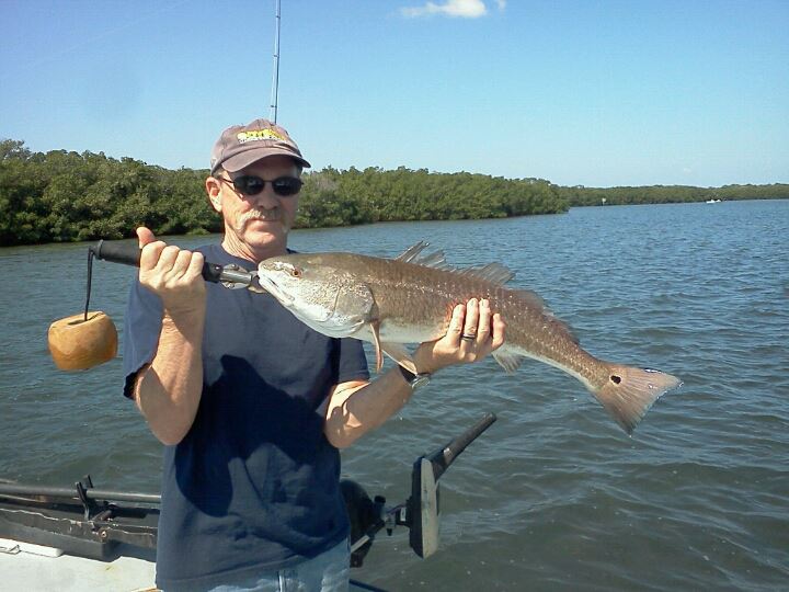 tampa bay clearwater st.pete fishing charter guide