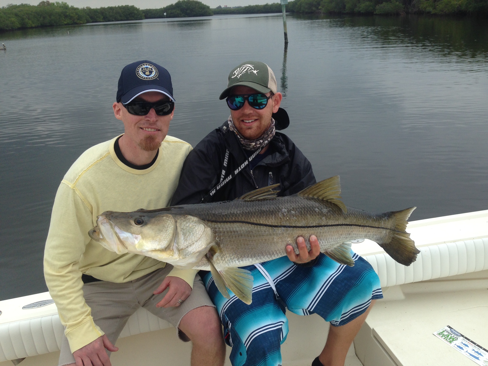 snook fishing charter guide tampa clearwater