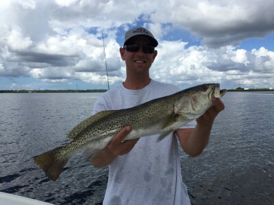 clearwater fishing charter