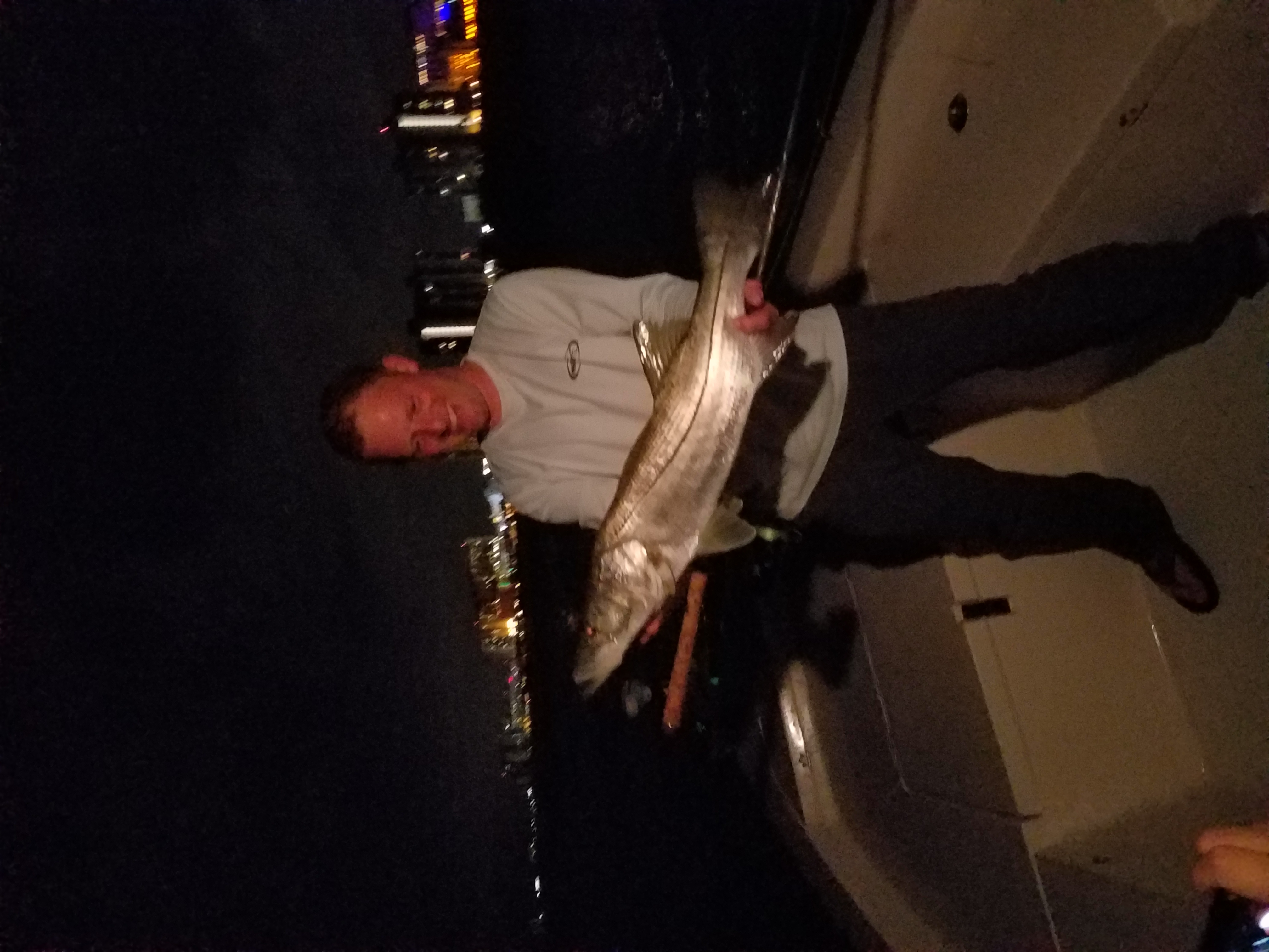 snook fly fishing charters in clearwater beach st.pete